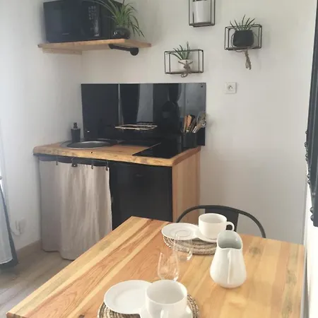 Апартаменты Joli T2 Au Pied Du Rocher! Aiguilhe